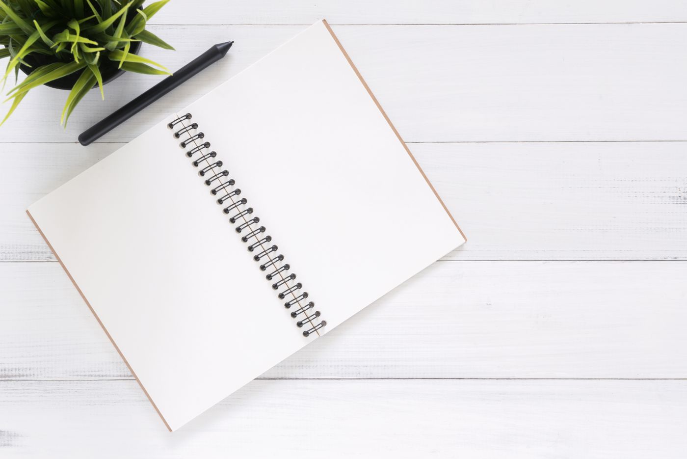 Notebook and study notes